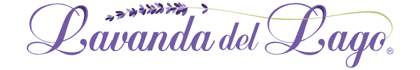 LAVANDA DEL LAGO